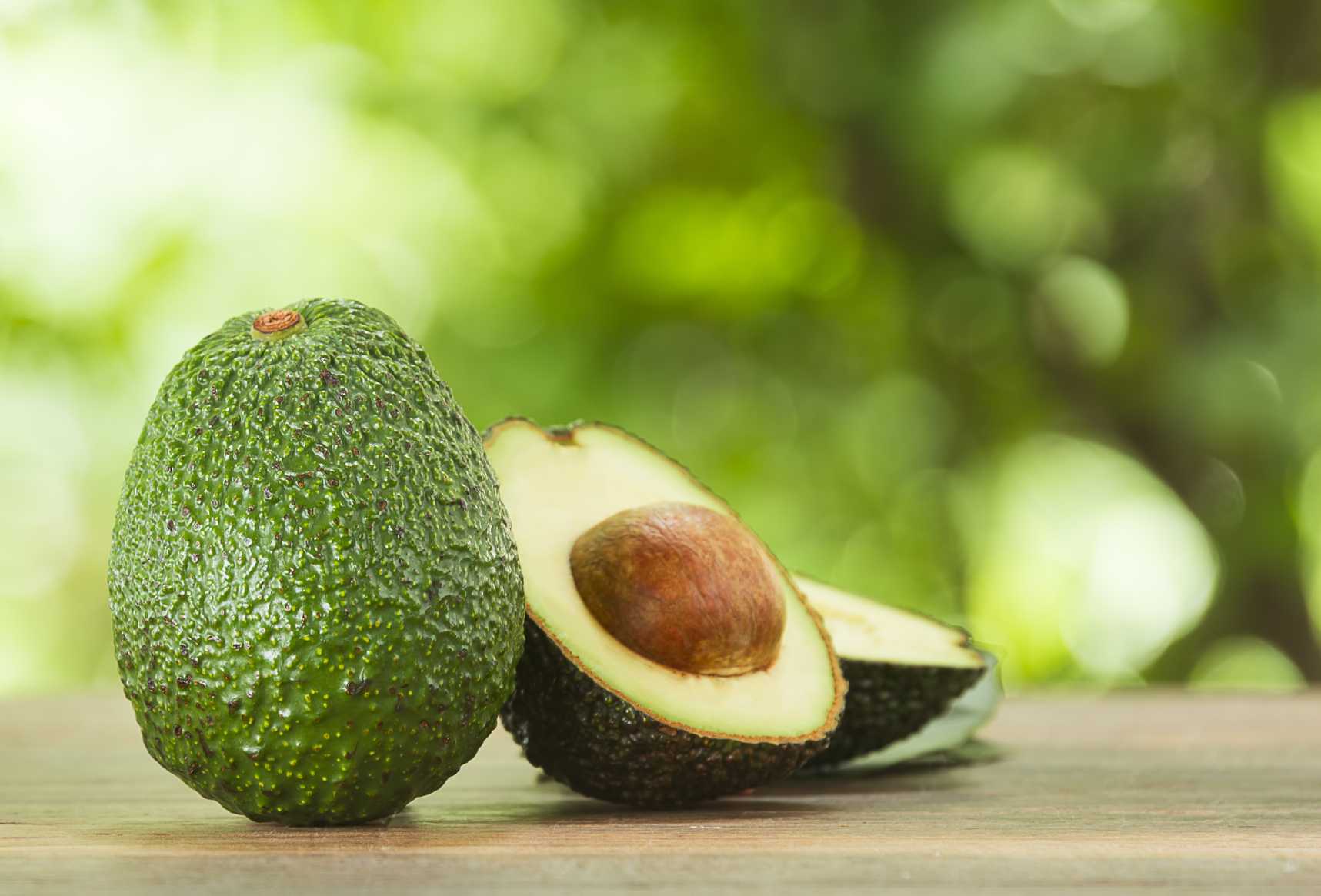 avocado-pentru-un-sistem-nervos-si-o-imunitate-de-fier-capsula-sanatatii-50003051